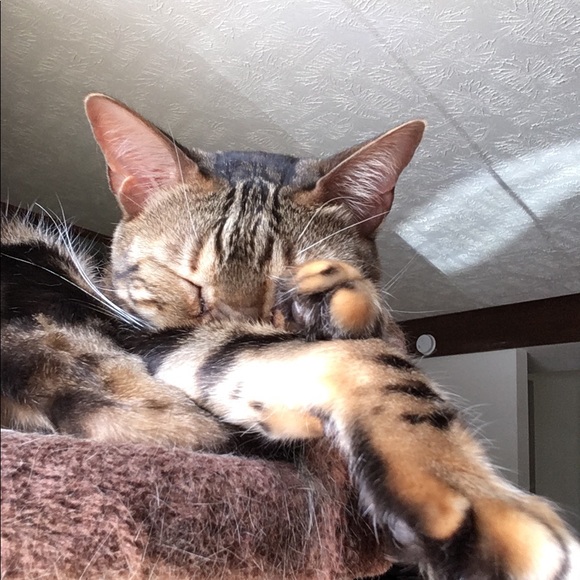 Meet your Posher, Kathryn, a lip balm addict 😂 - Picture 1 of 1